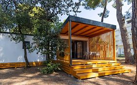 Diana & Josip Mobile Homes